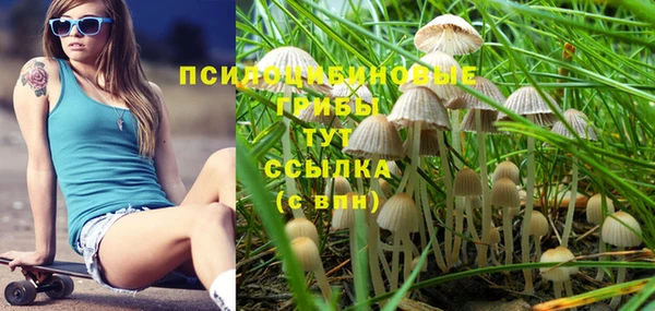 дживик Магадан