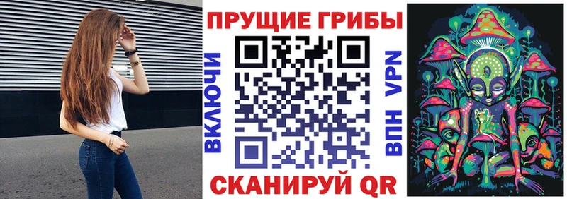 Псилоцибиновые грибы Magic Shrooms магазин продажи наркотиков кракен зеркало Циолковский