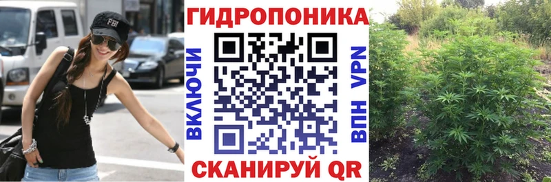 наркошоп  Циолковский  kraken зеркало  Конопля планчик 